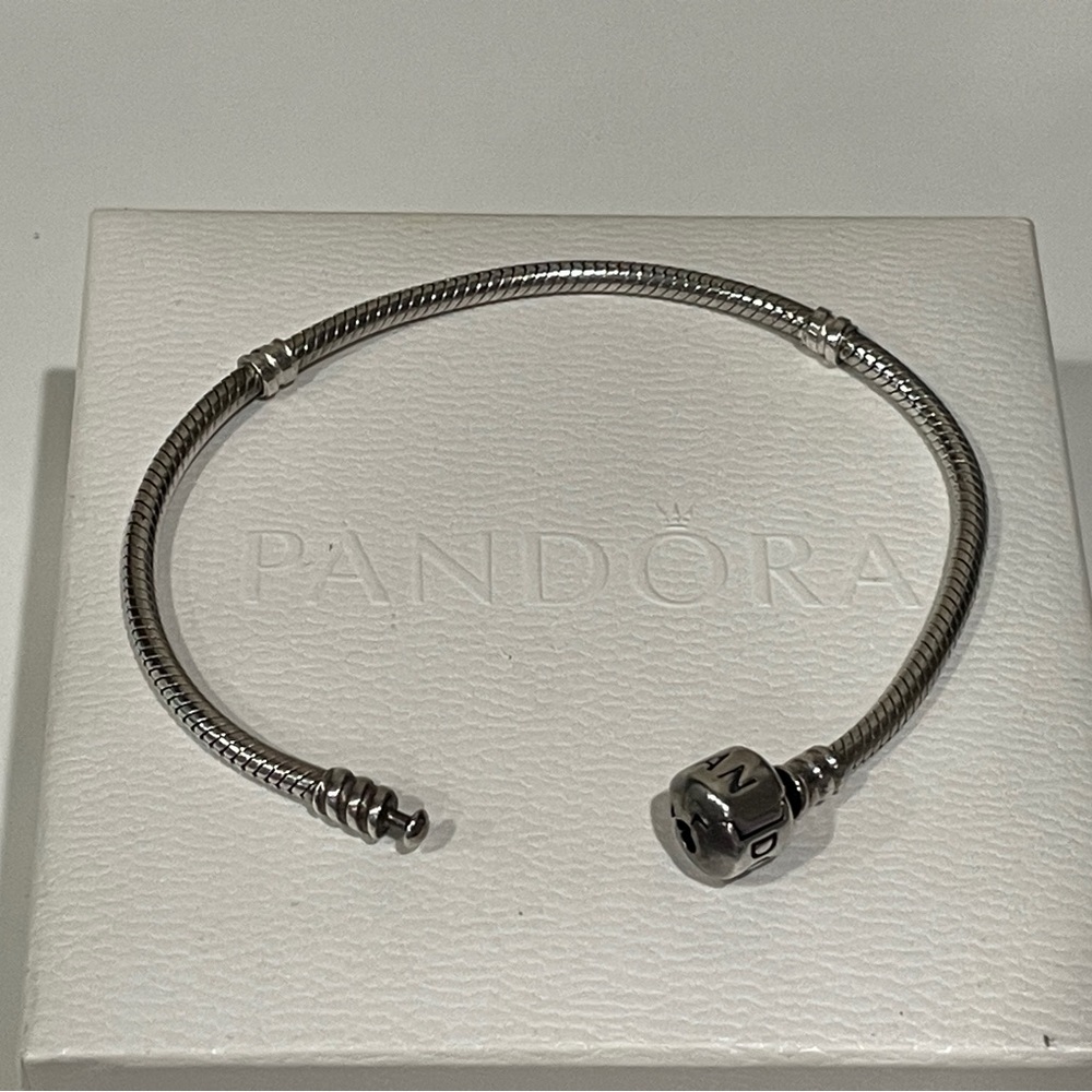 PANDORA Moments Snake Chain Bracelet